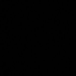 Meet your Posher, Selene